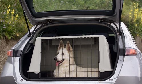 Glad-hund-i-bur