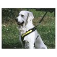 Miniaturebillede af MIMsafe Allsafe hundesele large
