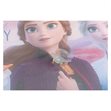Miniaturebillede af Disney Frozen 2 solbeskytter 60x40 cm 1 stk