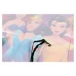Miniaturebillede af Disney Prinsesser sædebeskytter