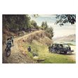Miniaturebillede af Thule Velocompact cykelholder til 3 cykler