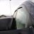Produktbillede af Climair vindafviser til fordør til Dodge Ram 4 dr 2002-2009