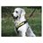 Produktbillede af MIMsafe Allsafe hundesele large