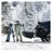 Produktbillede af Thule Arcos bagageboks XL 450 liter